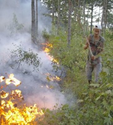 Огнеборци гасят пожар, тръгнал от Сърбия