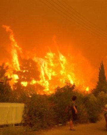 Пожари бушуват в Гърция, десетки загинаха