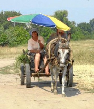 Горещ и сух септември