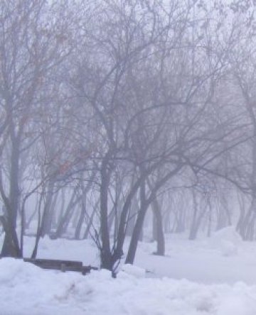 Подновиха издирването на младежа в Стара планина