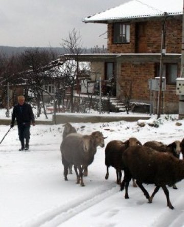 България на сериалите - България, която затъва