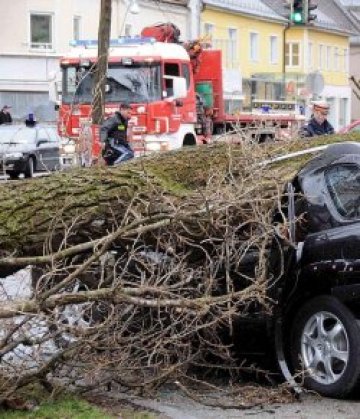 Торнадо връхлетя Флорида, двама са загинали