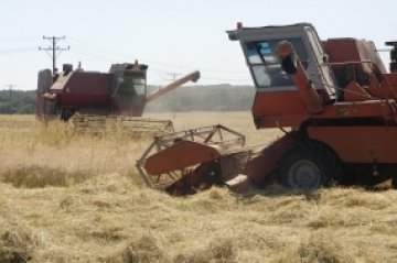 Зърното поевтинява на стоковата борса, олиото поскъпва