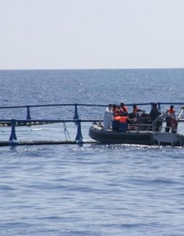 Български моряк изчезна в Средиземно море