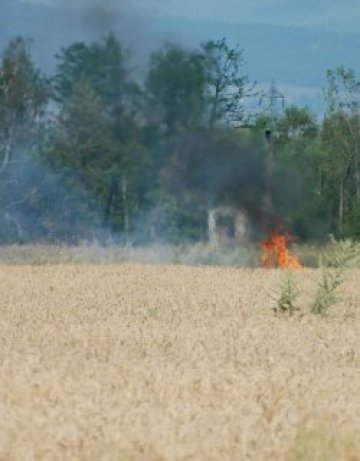 Пожар в Пирин