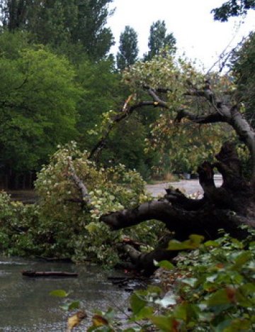 Ураганни ветрове покосиха Европа, има жертви