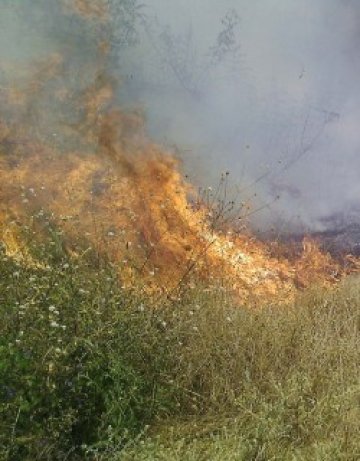 Пожар бушува цяла нощ около Стара Загора