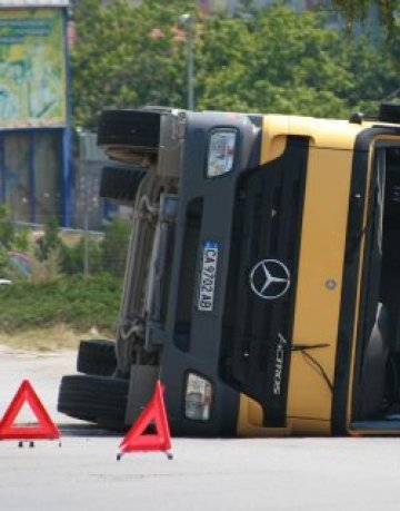 Камион с агнета се обърна, повечето загинаха