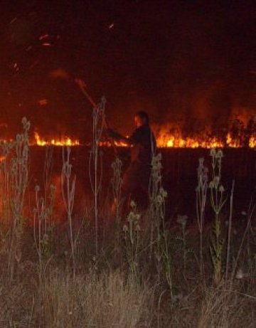 Угасиха пожара в Благоевградско