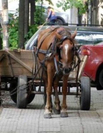 Мъж в кома, след като каруцата му потроши две коли