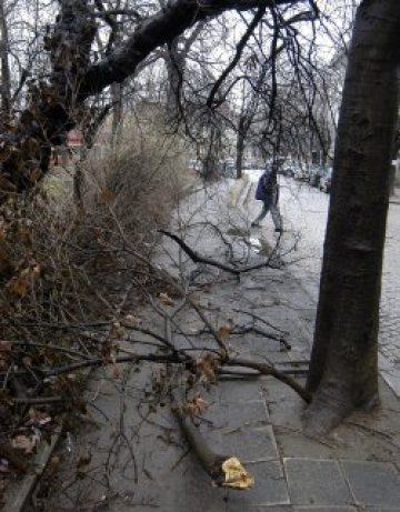 Бурни ветрове, но южни, отвяват страната