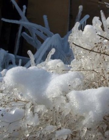 Замръзнала България. -19° в Кнежа, -17° в Пловдив и Стара Загора