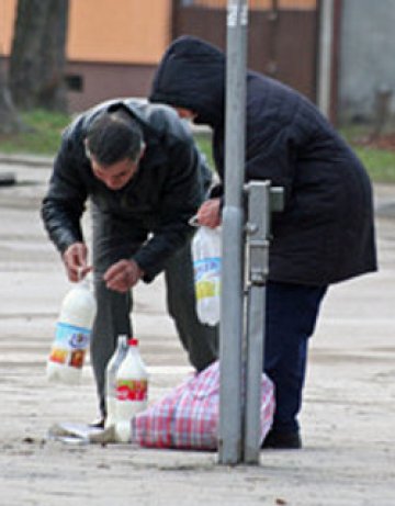 Лев за литър мляко, но пълно с микроорганизми