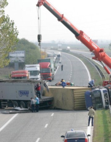 7 жертви по пътищата на страната