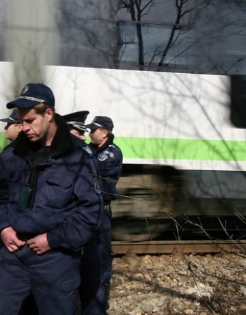 Дърво свлече контактната мрежа на влака от Синдел за Юнак