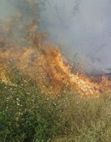 Пожар вилнее край хасковско село