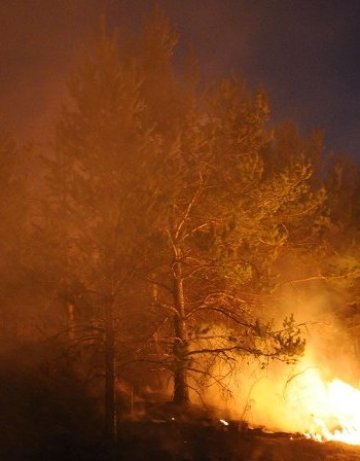 Бали с фураж изгоряха при пожар в пловдивско село