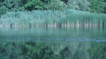 Водолази търсят двама души в язовир в Габровско