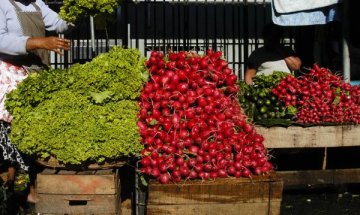 Репичките са полезни за храносмилането