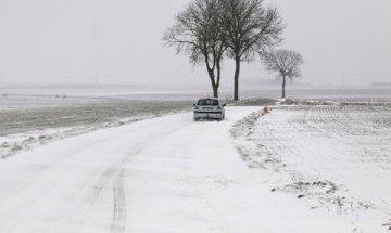 Нивата на холестерола се променят според сезона 