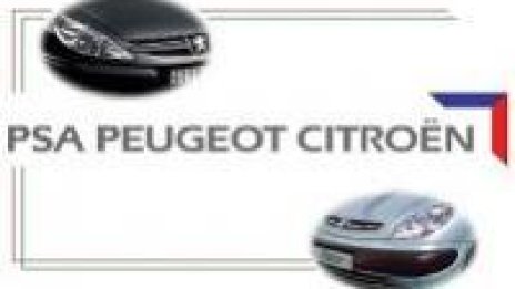 Създават асоциация на хомосексуалистите в Peugeot-Citro&#235;n