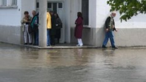 Дунав се скри, почна се масово чистене и лъскане