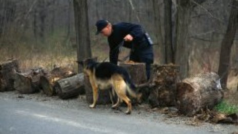 Турски инвеститор заклан с ножица в Долна баня