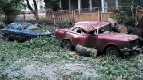 Пороят отнесе дървета в столицата, в Панчарево има спукани тръби