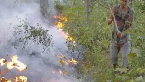 Огнеборци гасят пожар, тръгнал от Сърбия