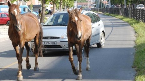 Две конски сили на пътя