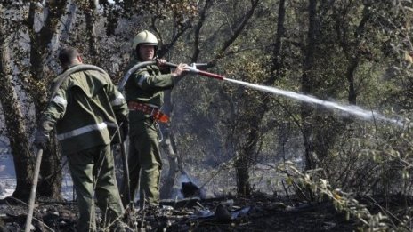 Три пожара бумтят в гората край Свети Влас