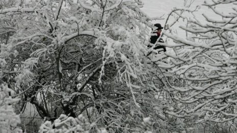 До вторник мръзнем, живакът на Коледа гони 11°