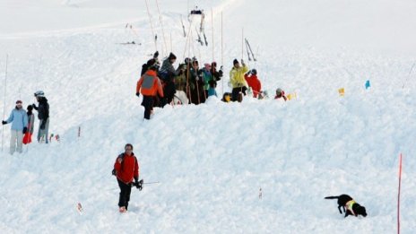 Лавини убиха седем души в италианските Алпи