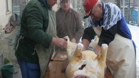 Отмъкнаха месо и ракия от къща в Старозагорско