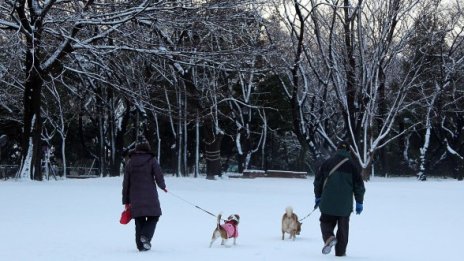 Българите - най-недоволни от живота си от всички в ЕС