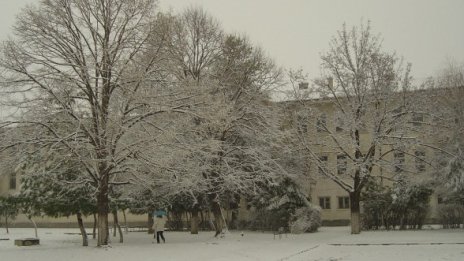 Скандали тресат селско школо в Пловдивско