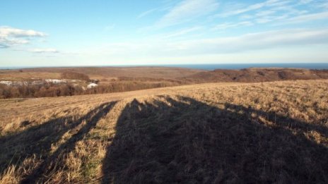 Съдят бизнесмени и данъчни, точили ДДС в Пловдивско