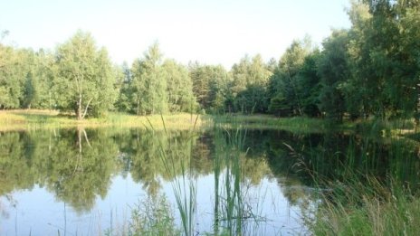 Еколози: Тактиката ни пред ЕК за заменките няма да мине!