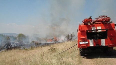 Пожар унищожи 20 дка иглолистна гора