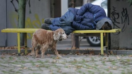 Сладки сънища за нови езици