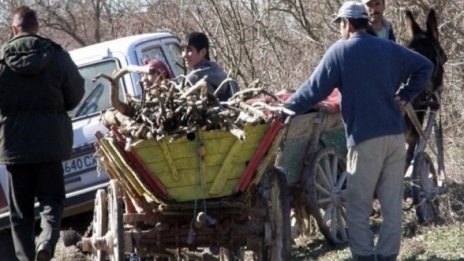 Европейски министри дезертираха от срещата по ромските въпроси