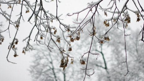 10 см нова снежна покривка на Витоша