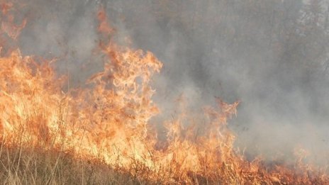 Горят сухи треви до КЦМ край Пловдив