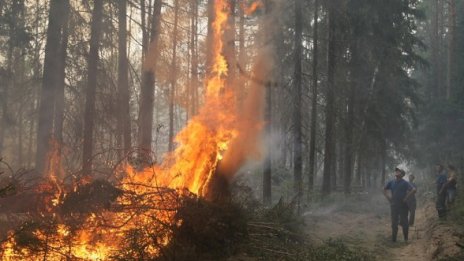 Екокатастрофа надвисва над Московска област