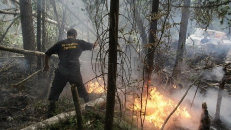 Еколози: Пожарите в Русия променят световния климат