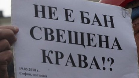 Учени от БАН си заработвали хилядарки по проекти