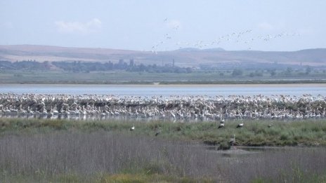 Сред лугата и лечебната кал ви очакват много приятни изненади