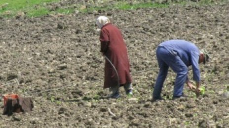 Тютюнопроизводители поискаха оставката на Дянков