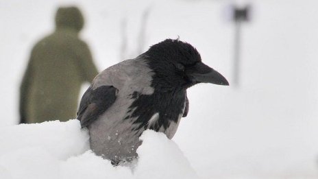 Петък – идва рязка промяна на времето: студ и сняг