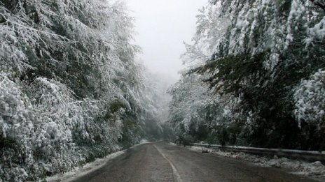 Пътищата в страната – проходими при зимни условия